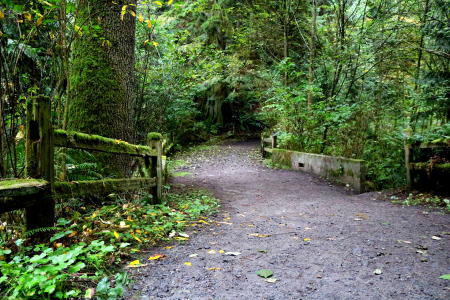 Woodsy trail with split rail fence at OO Denny Park