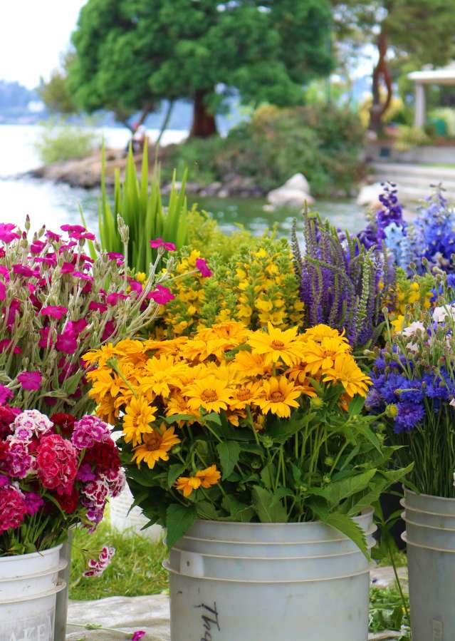 Flowers in the marketplace