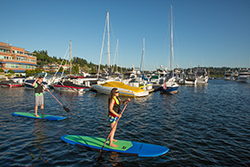 Stand-up Paddle
